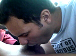 baitbus mauricio